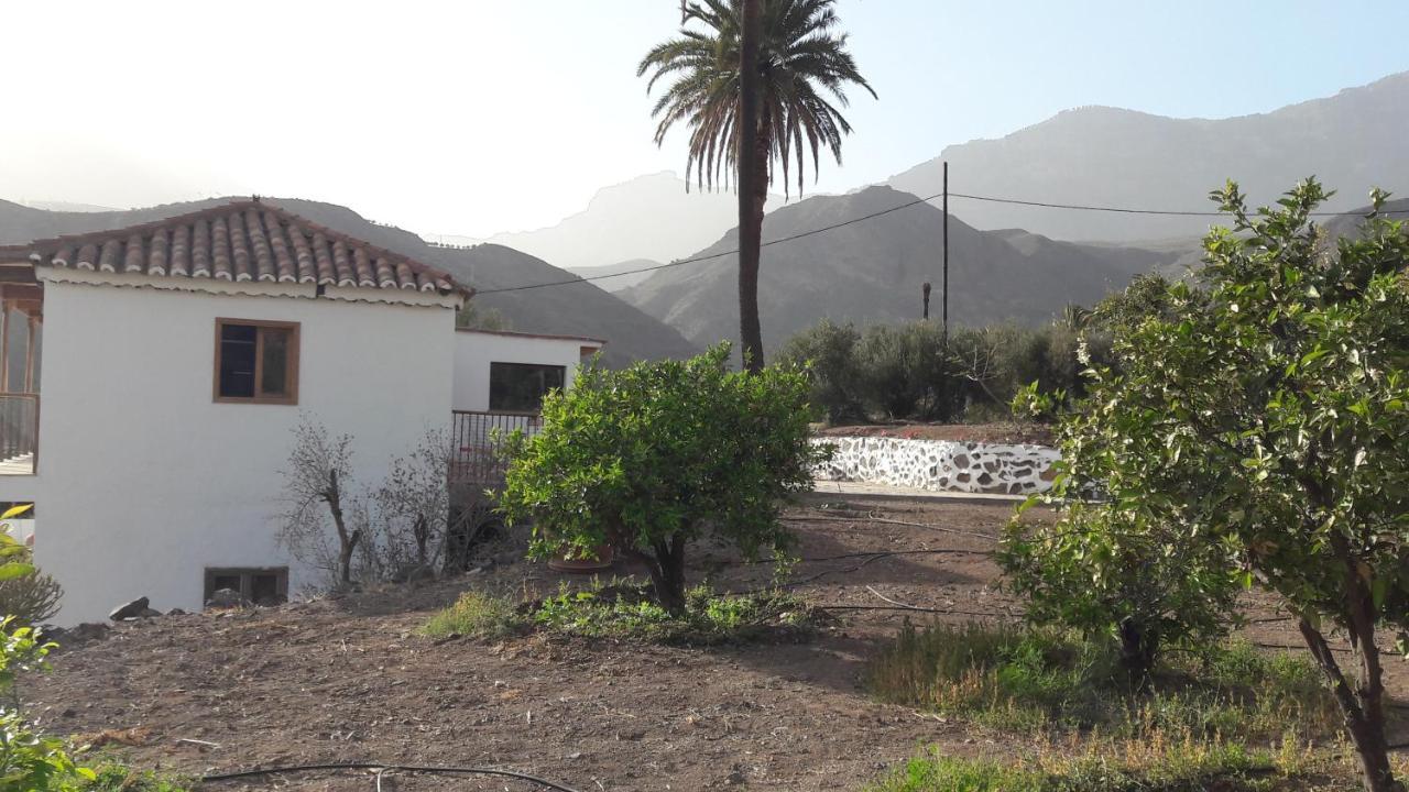 El Regalo De Mis Abuelos Santa Lucia De Tirajana Экстерьер фото