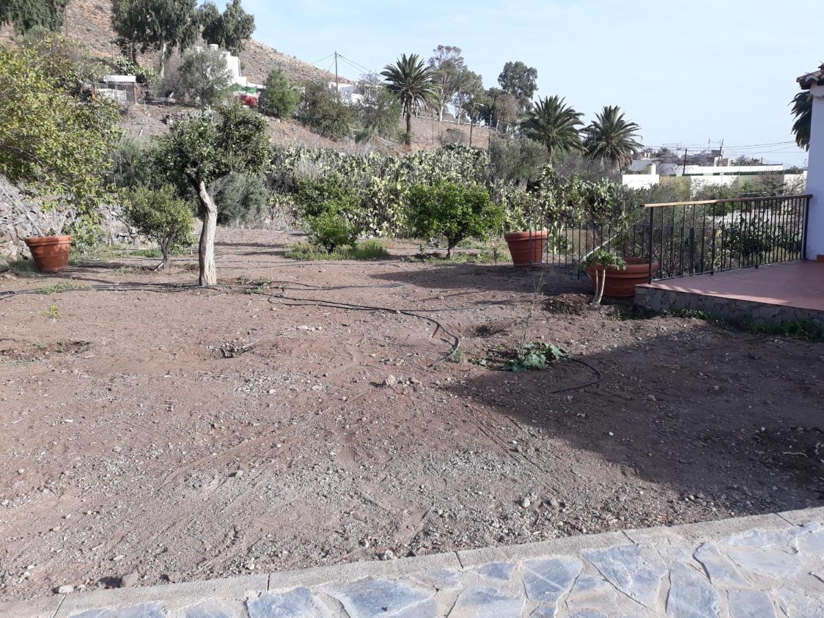 El Regalo De Mis Abuelos Santa Lucia De Tirajana Экстерьер фото