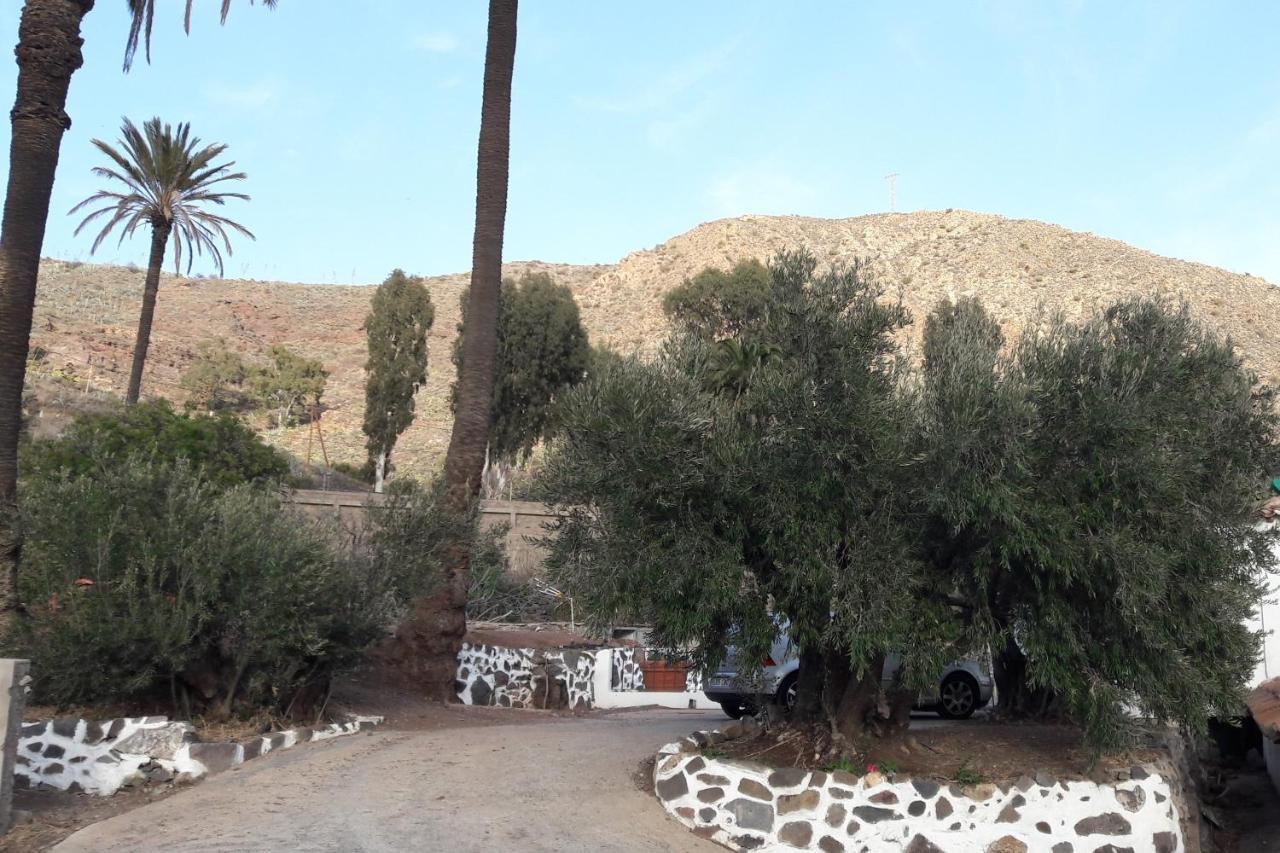 El Regalo De Mis Abuelos Santa Lucia De Tirajana Экстерьер фото