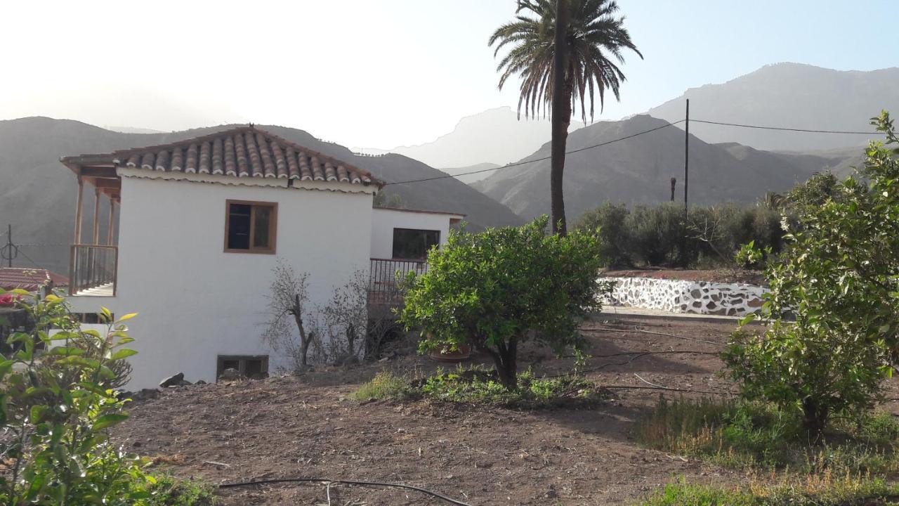 El Regalo De Mis Abuelos Santa Lucia De Tirajana Экстерьер фото