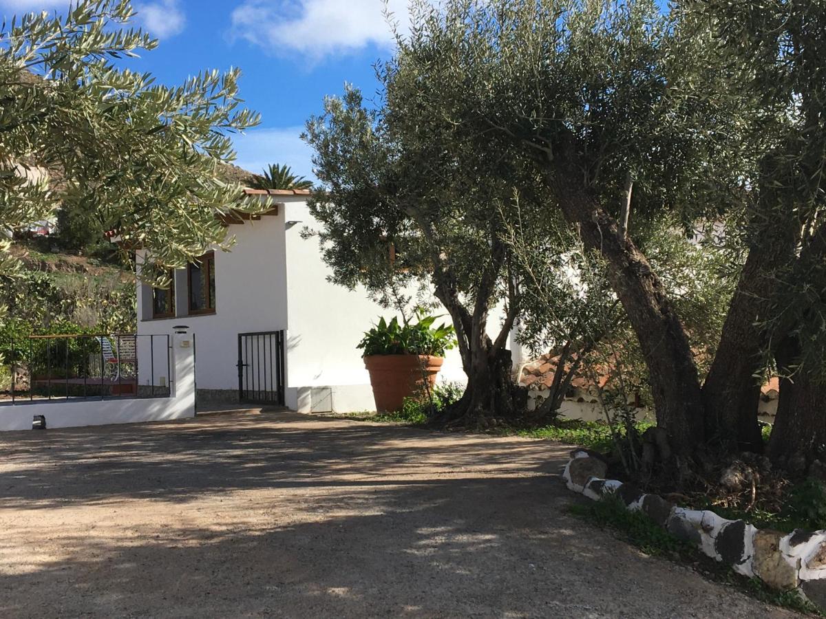 El Regalo De Mis Abuelos Santa Lucia De Tirajana Экстерьер фото